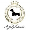 Dogs by Beluchi