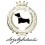 Dogs by Beluchi