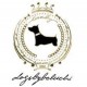 Dogs by Beluchi