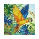 Diamond Dotz Κατασκευή Ψηφιδωτό Καμβάς Blister 41x41cm Τροπικό Μεγαλείο 241.912858