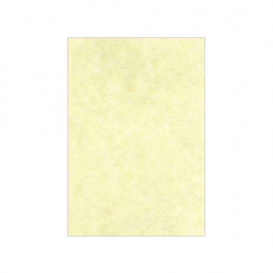 Premium Fine Paper Κρεμ 180gr/m² A4 125 φύλλα 810.180.2059