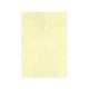 Premium Fine Paper Κρεμ 180gr/m² A4 125 φύλλα 810.180.2059