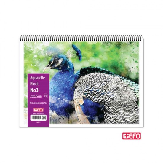 +Efo Μπλοκ Ακουαρέλας Διάφορα Σχέδια 14φ. No3 25x35cm 80253