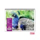 +Efo Μπλοκ Ακουαρέλας Διάφορα Σχέδια 14φ. No3 25x35cm 80253