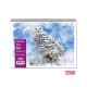 +Efo Μπλοκ Ακουαρέλας Διάφορα Σχέδια 14φ. No3 25x35cm 80253
